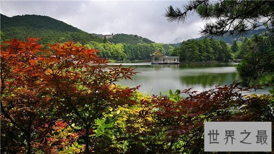 中国十大天然氧吧，让疲惫的灵魂来这里休息一下