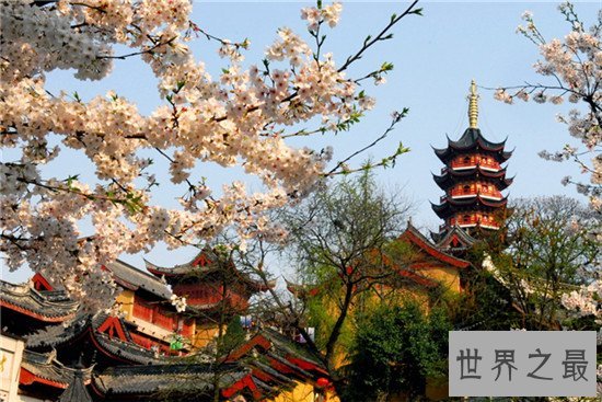 中国的十大赏樱胜地，最美樱花聚集地都在这里了