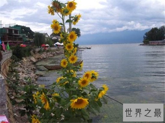 中国十大爱情地标排行榜，新婚蜜月去这里甜蜜到爆