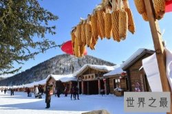 冬季国内十大最佳看雪地，快来这些地方观看漫天鹅毛大雪！