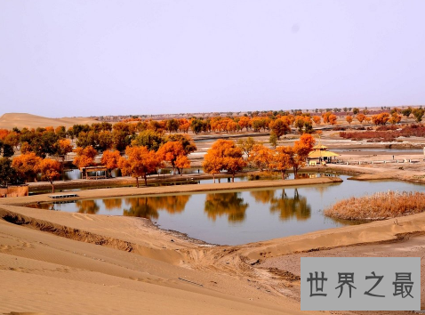 中国十大最美的露营旅游地，沙漠露营尝试一波？