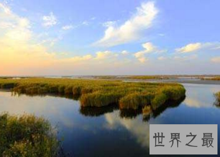 中国最美十大湿地，湿地竟然危机重重？