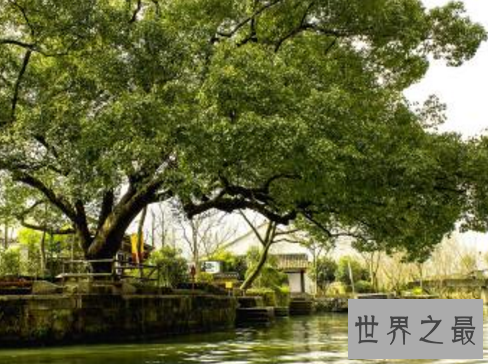 中国最美十大湿地，湿地竟然危机重重？