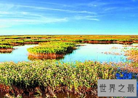 中国最美十大湿地，湿地竟然危机重重？
