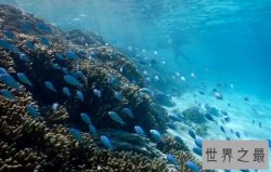 中国十大美丽海岛排行榜，不容错过的人间美景。