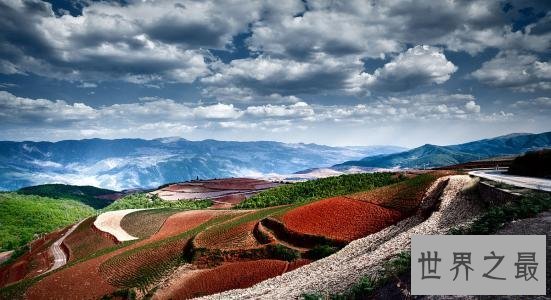 中国十大避寒城市,这些城市暖得像小火炉