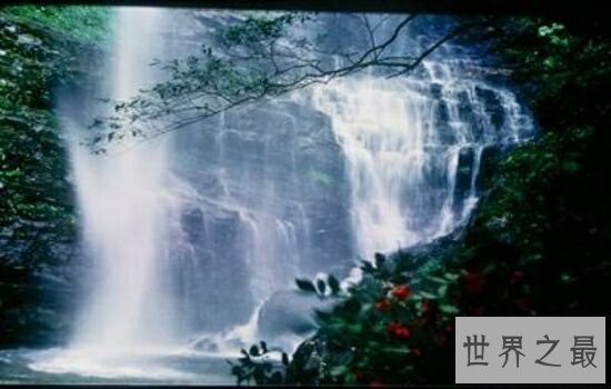 中国十大森林氧吧，浙江千岛湖竟然位于榜单榜首。