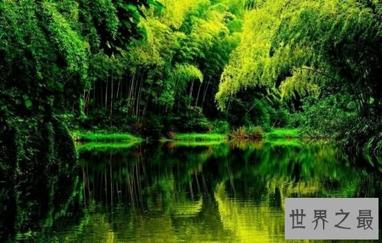中国十大森林氧吧，浙江千岛湖竟然位于榜单榜首。