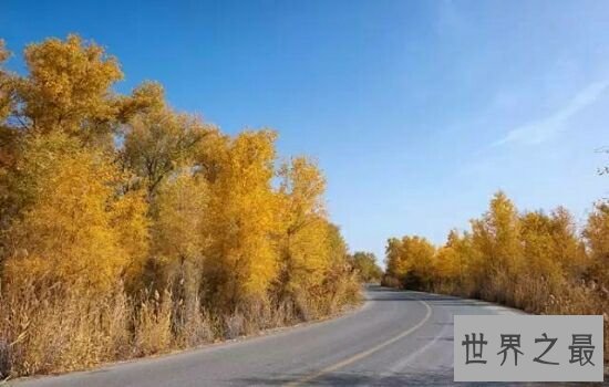 中国十大森林氧吧，浙江千岛湖竟然位于榜单榜首。