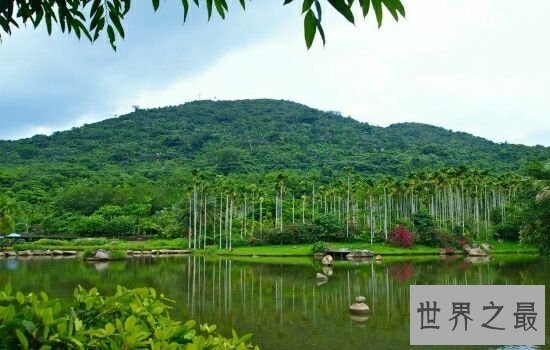 中国十大森林氧吧，浙江千岛湖竟然位于榜单榜首。