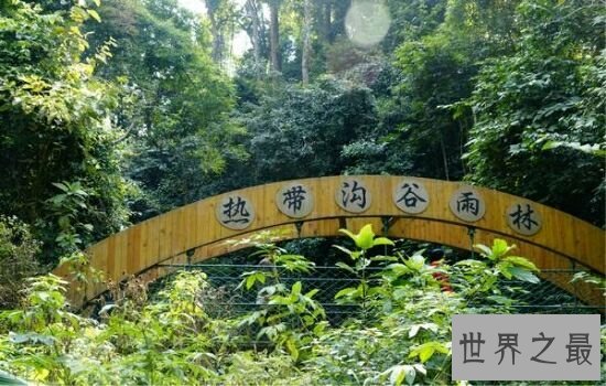 中国十大森林氧吧，浙江千岛湖竟然位于榜单榜首。