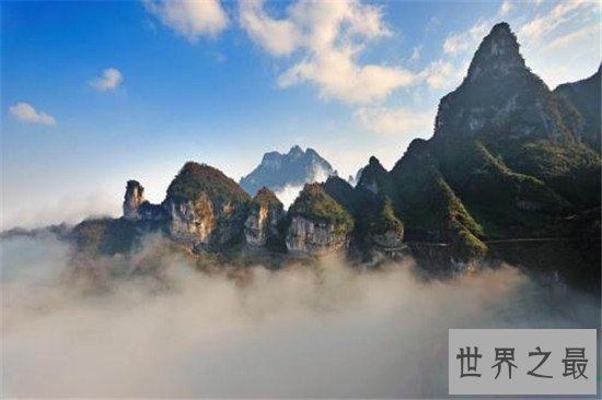 中国十大森林氧吧大盘点,中国空气质量最好的地方都在这!