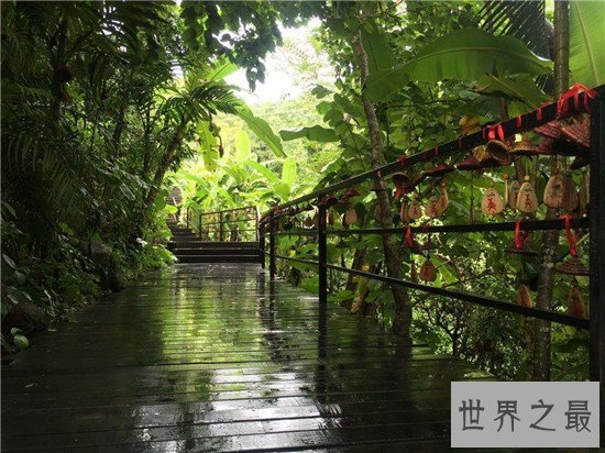 中国十大森林氧吧大盘点,中国空气质量最好的地方都在这!