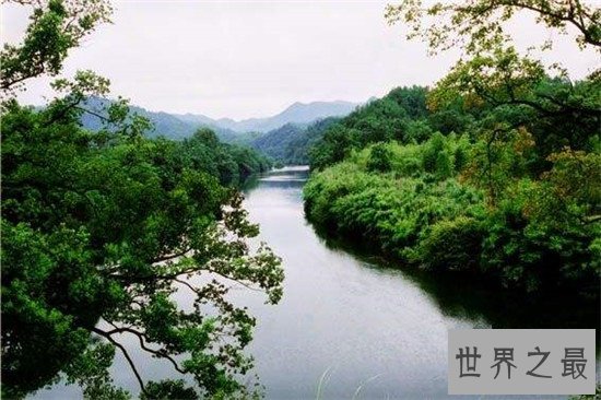 中国十大森林氧吧大盘点,中国空气质量最好的地方都在这!