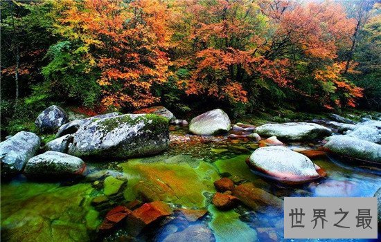 中国十大森林氧吧大盘点,中国空气质量最好的地方都在这!