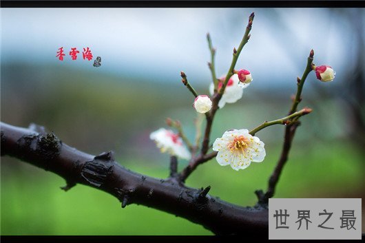 中国十大最美水乡，下雨天和水乡更配哦