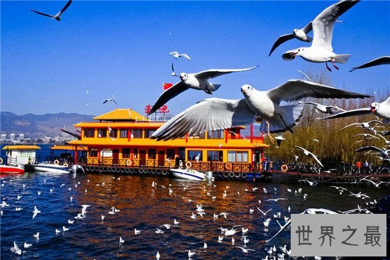 中国最养人的9个城市,网红城市——成都欢迎你