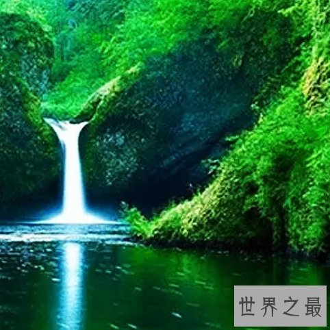 中国最适合洗肺的十大城市排行榜，纯天然氧吧你值得拥有。