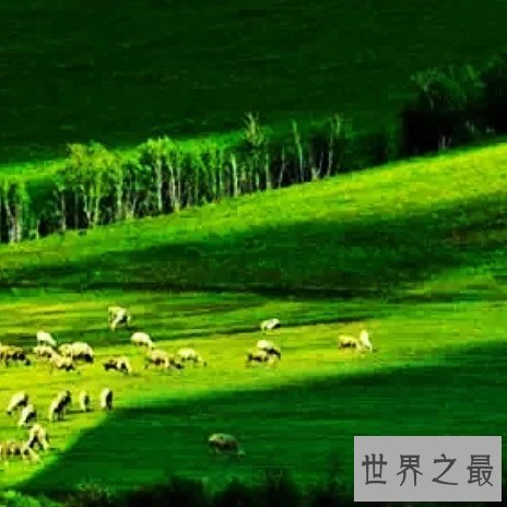 中国最适合洗肺的十大城市排行榜，纯天然氧吧你值得拥有。