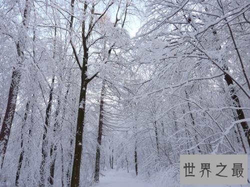 中国十大冰雪景观,冰雪美景处处似仙境