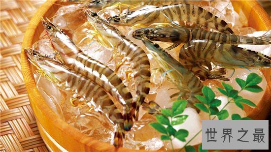 国内十大最受吃货欢迎的海鲜圣地,实惠正宗还好吃!