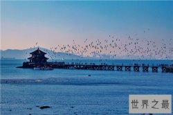 山东旅游必去景点排行榜，盘点山东旅游必去景点！