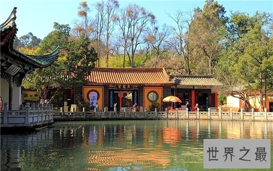 中国最美丽的十大梅园大盘点，寒风中的粉色美少女！