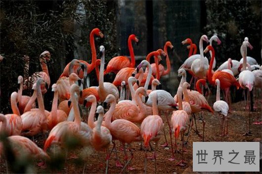 北京十大儿童地点,北京10大最适合带孩子去玩的地方