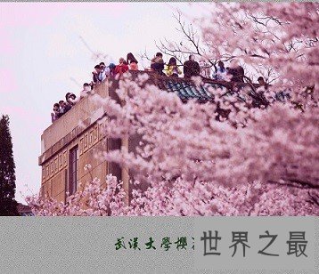 你想考一所好大学吗，了解2018最新的中国大学排行榜