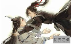 耽美小说推荐腐妹子必看 断背山下菊花朵朵开