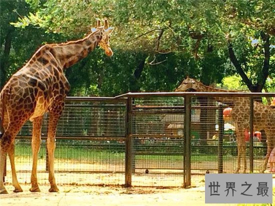 北京必去的地方 有一个地方没去都算是白来北京