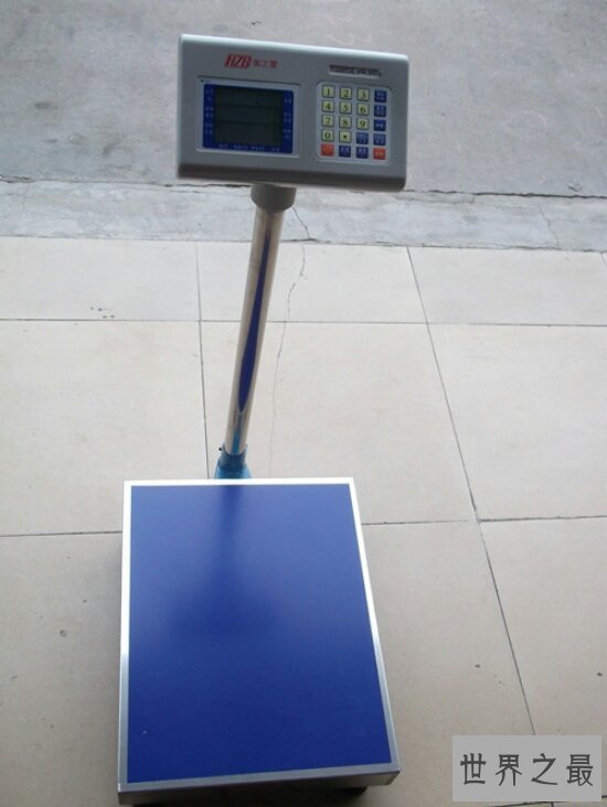 2018电子秤品牌排行榜  哪个品牌的电子秤好