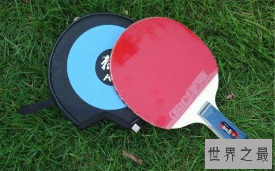乒乓球拍哪个牌子好，十大乒乓球品牌排行榜