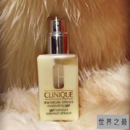 什么护肤品好用，2018中国十大品牌护肤品排行榜