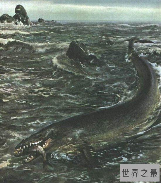 大荒十凶兽排行(附图详解),第一名唯有神农可以降伏它