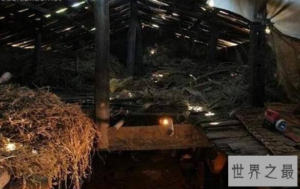 十大中国最穷的地方，拥有丰富的矿产却连饭都吃不起