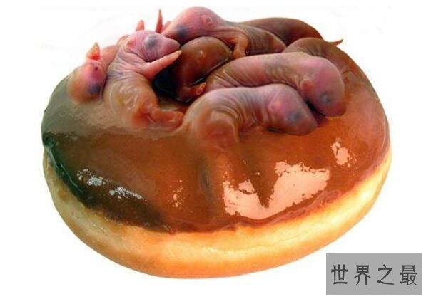 中国十大禁菜之老鼠三吱儿，最恶心的美食(生吃老鼠)