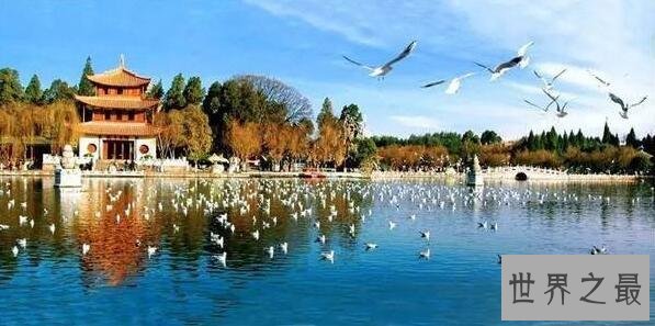 2017中国十佳宜居城市排名，三亚第三重庆荣获第一