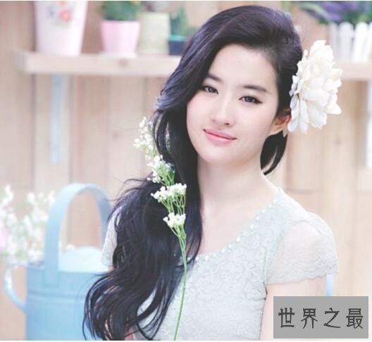 中国十大气质美女,刘亦菲范冰冰倒数(第一给了她)