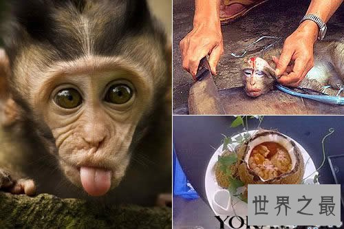 揭秘中国十大禁菜，舌尖上的“重口味”(罪孽啊)