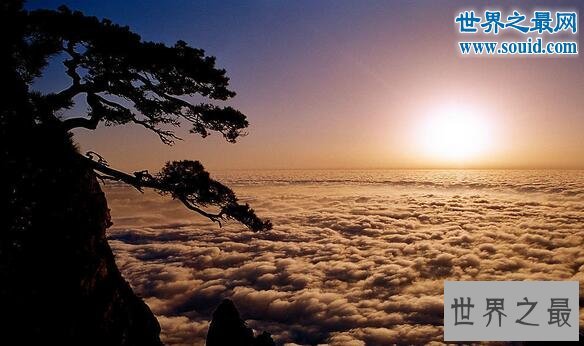 中国四大名山，庐山/龙虎山/黄山/九华山