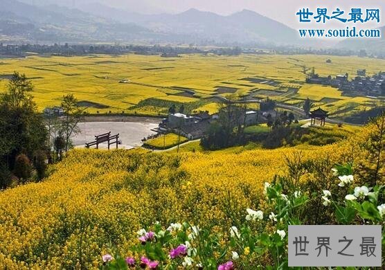 中国四大盆地,柴达木盆地是被陨石砸出来的坑