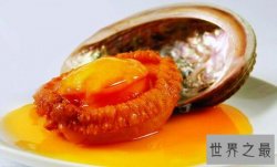 中国四大海味，鲍/翅/肚/参(有钱人才吃得起的)