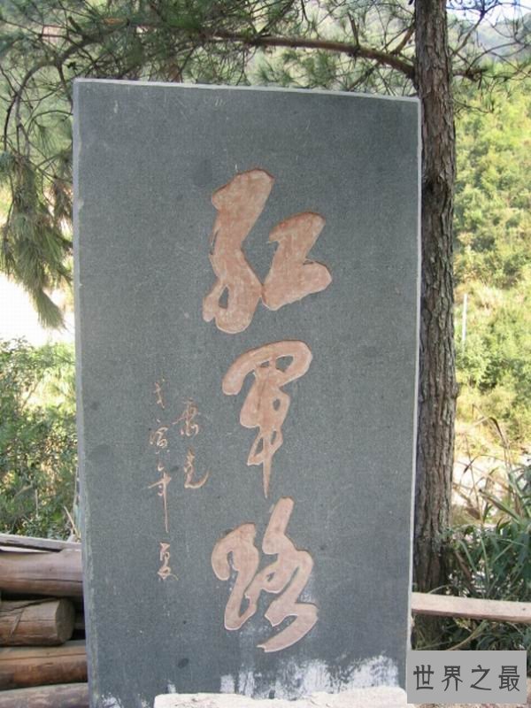 十大开国上将排名,赫赫战功下不为人知的一面