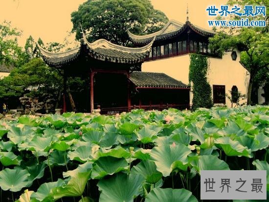 中国四大名园，拙政园/颐和园/避暑山庄/留园