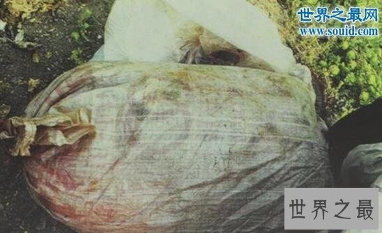 中国十大奇案，各种不正常恐怖杀人案集合(多图)