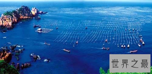 中国四大渔场，舟山/渤海湾/南海/北部湾