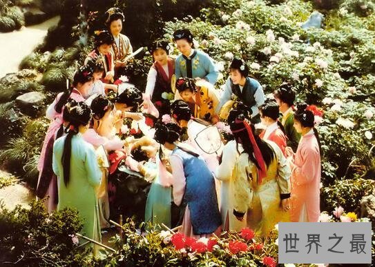 红楼梦四大家族，贾/史/王/薛(树倒猢狲散)