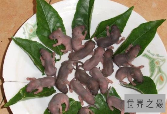 中国九大残忍菜,太残忍实在难以下口(胆小勿看)