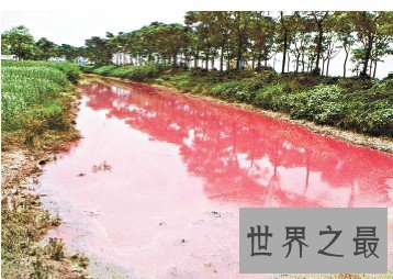 中国污染最严重的10个城市,全城都是癌症村